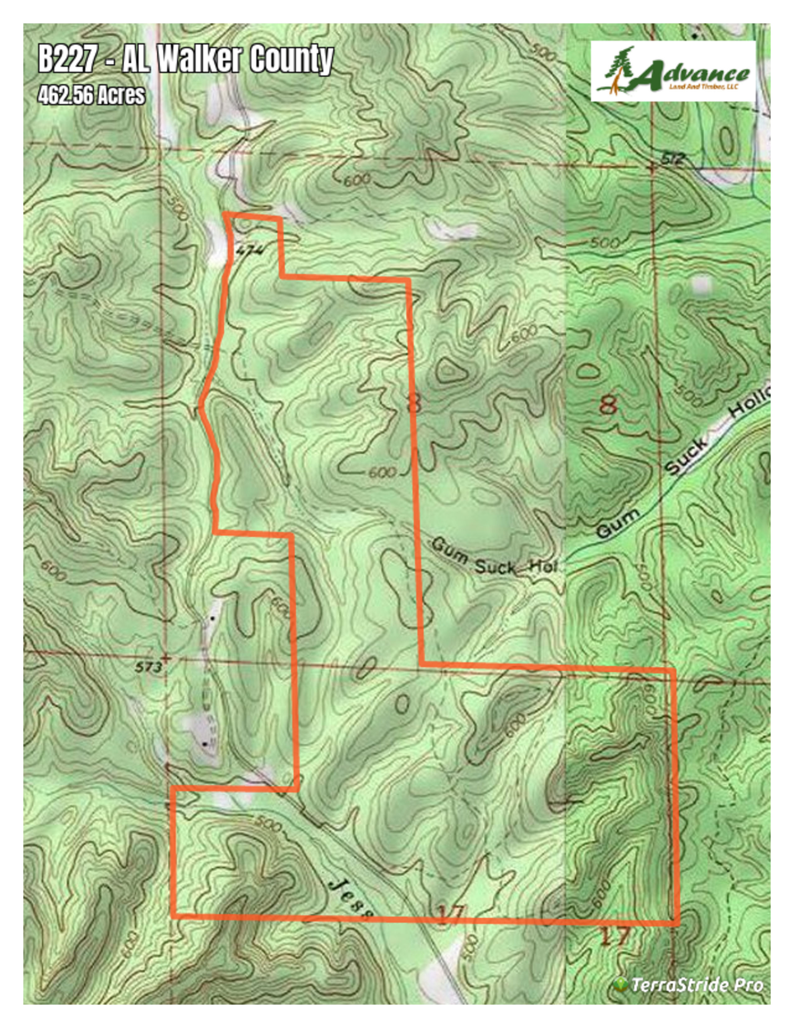 462.56 acres in Walker County, Alabama