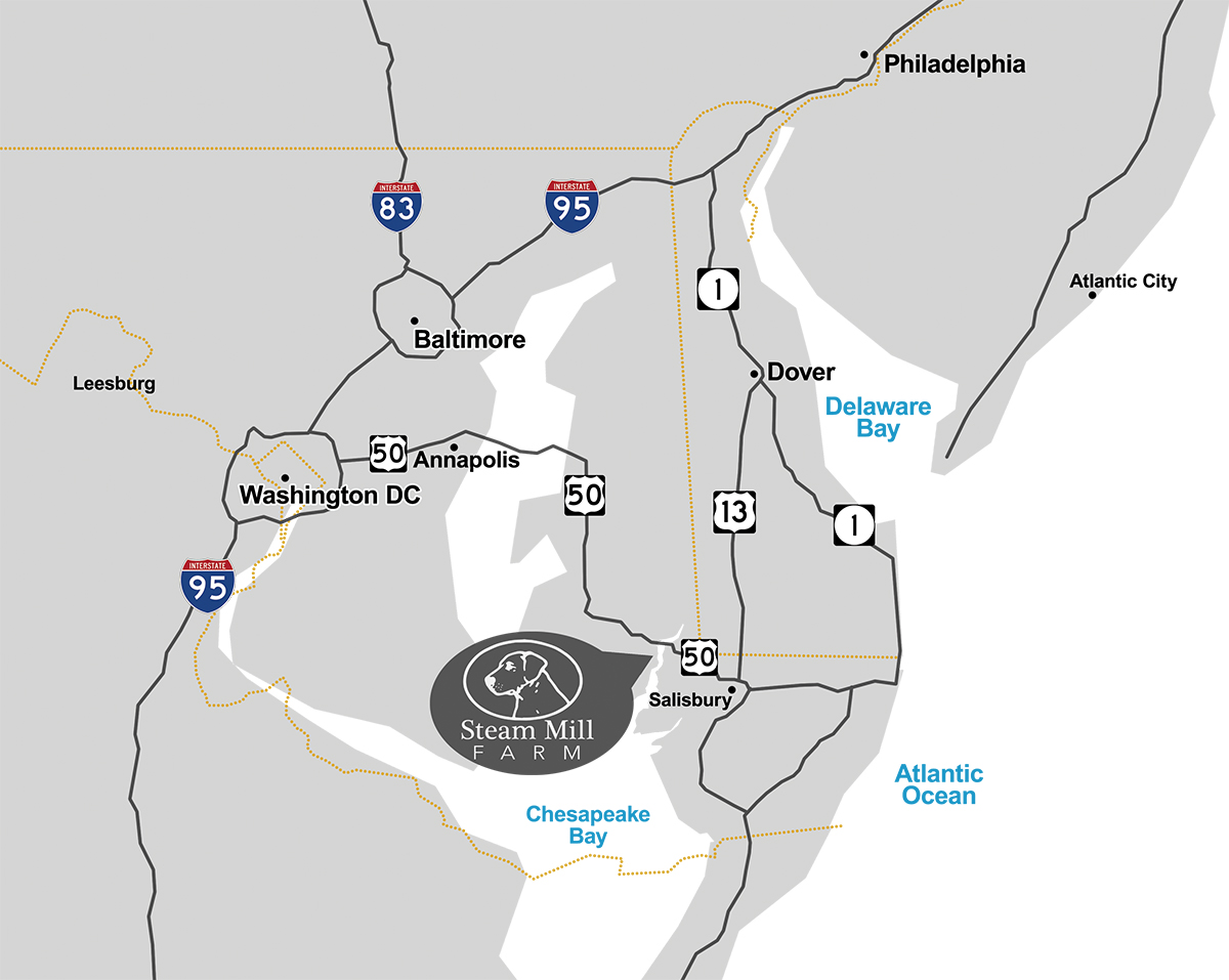 1,000 acres in Dorchester County, Maryland