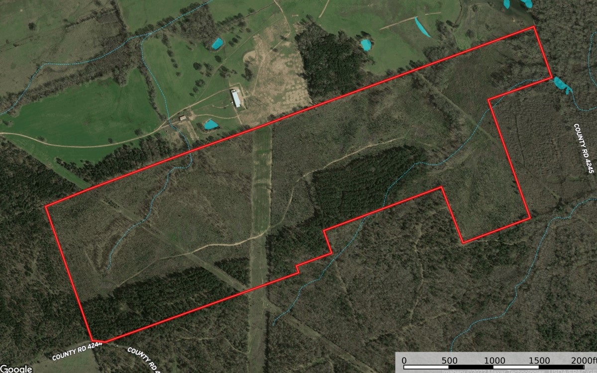 198.12 acres in Camp County, Texas