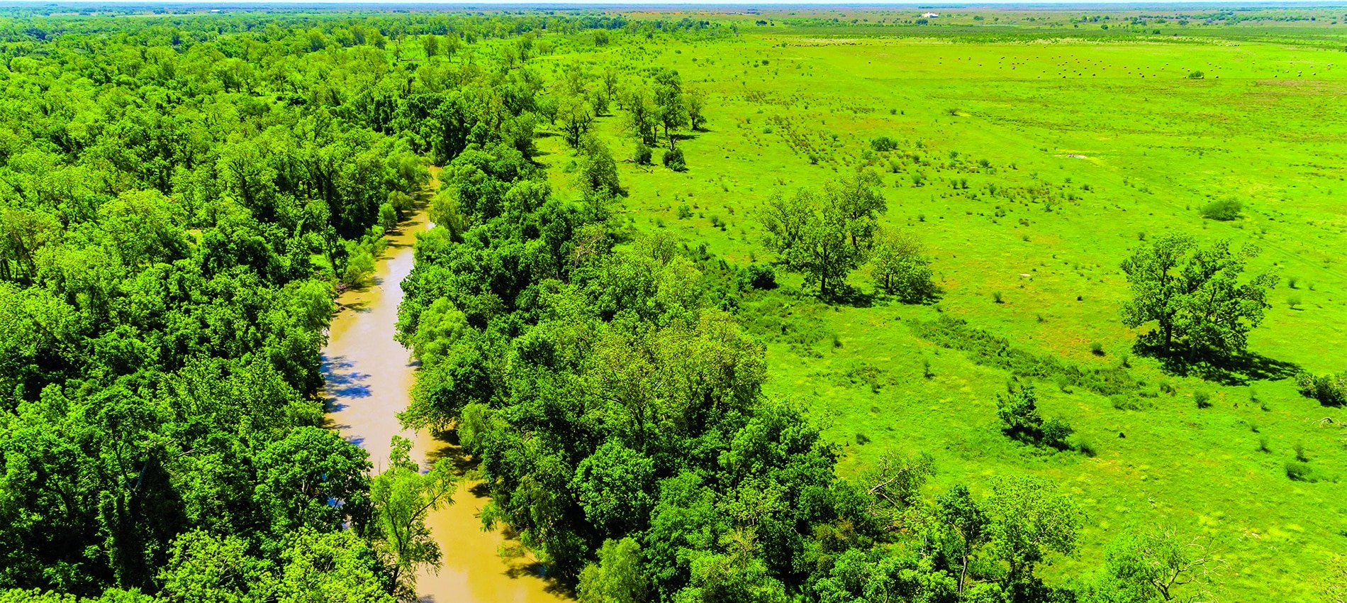 Listing of the Week Shouse Goliad Ranch