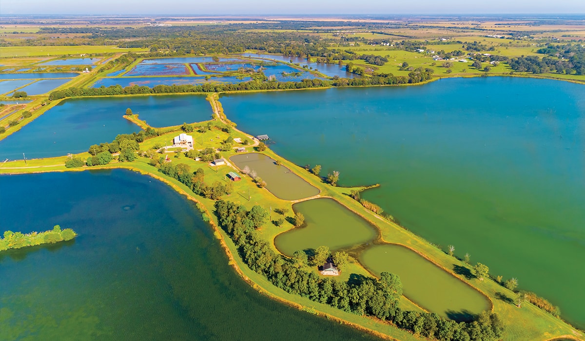 Featured Listing Lakes of Danbury