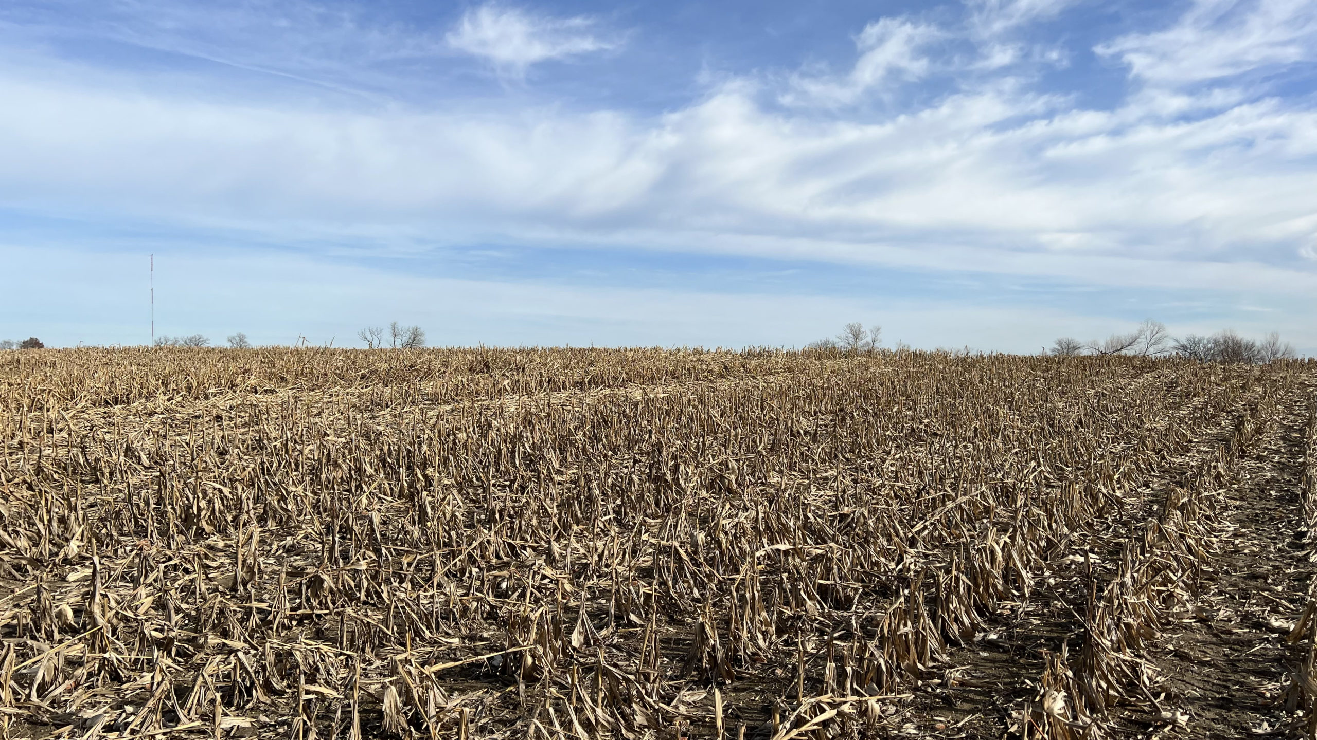 118 Acres for Sale Fulton County IL
