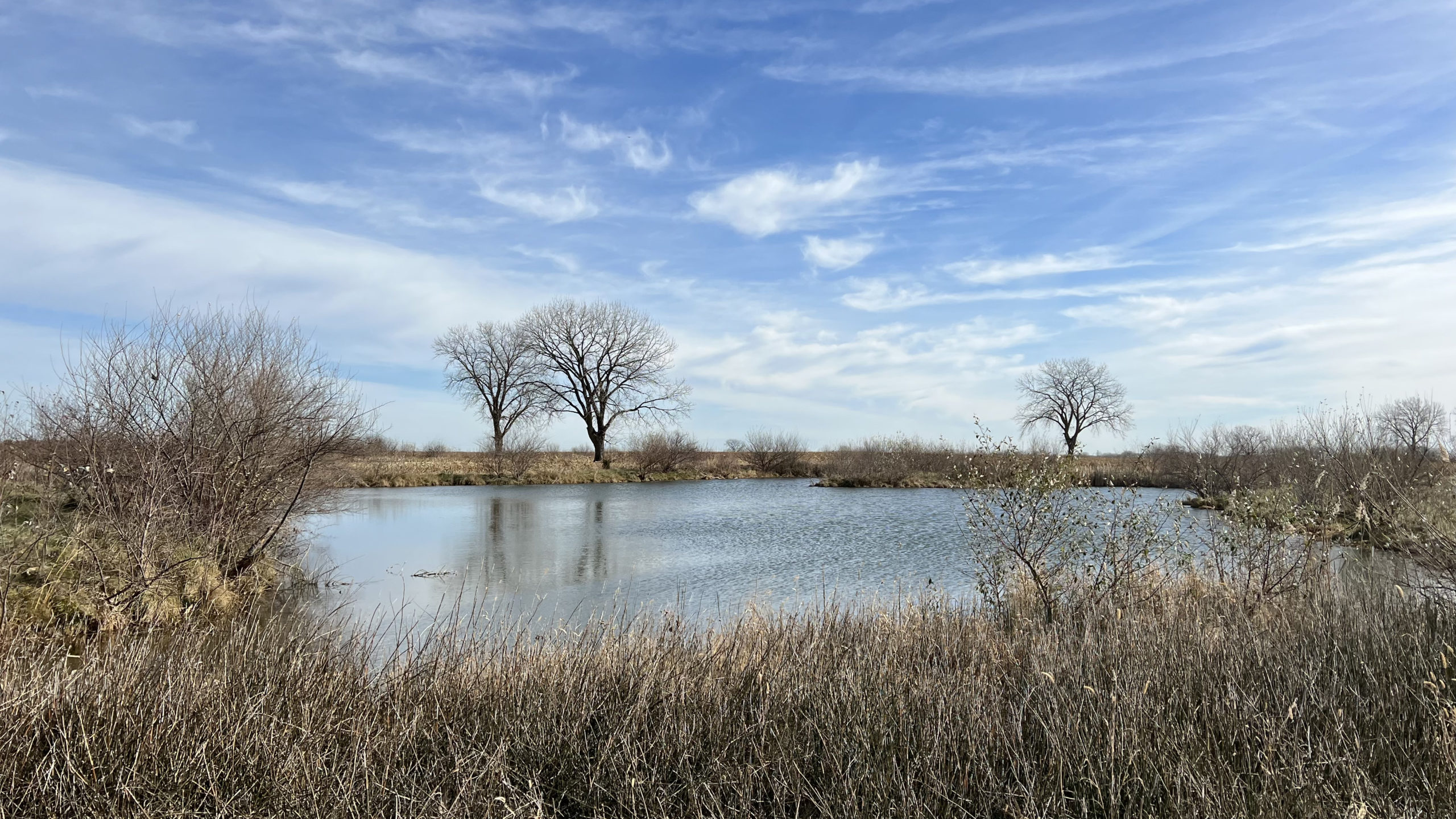 118 Acres for Sale Fulton County IL