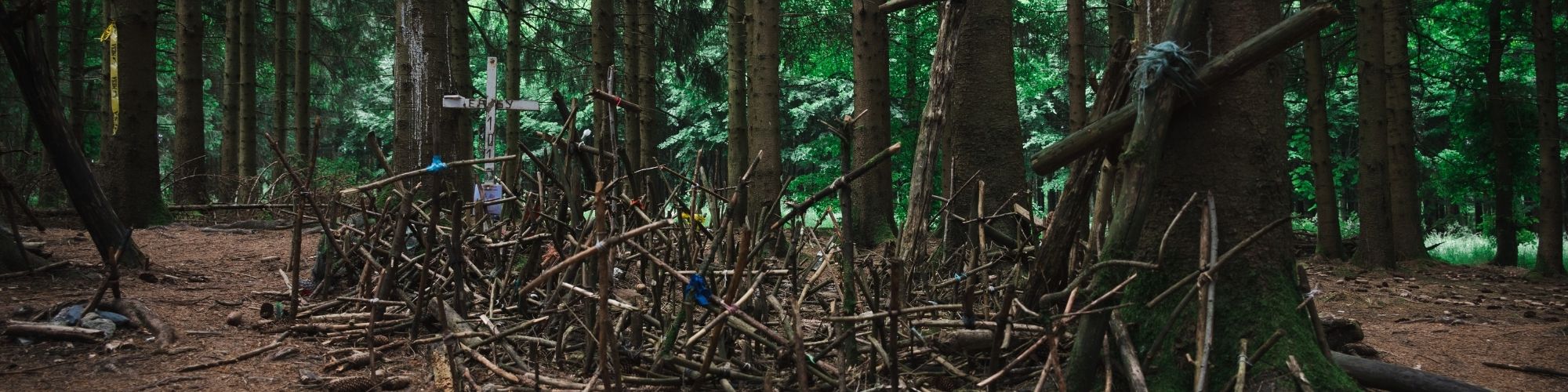 Seconde Guerre Mondiale Bois Jacques