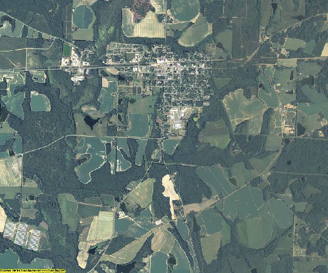 2009 Wilcox County, Aerial Photography