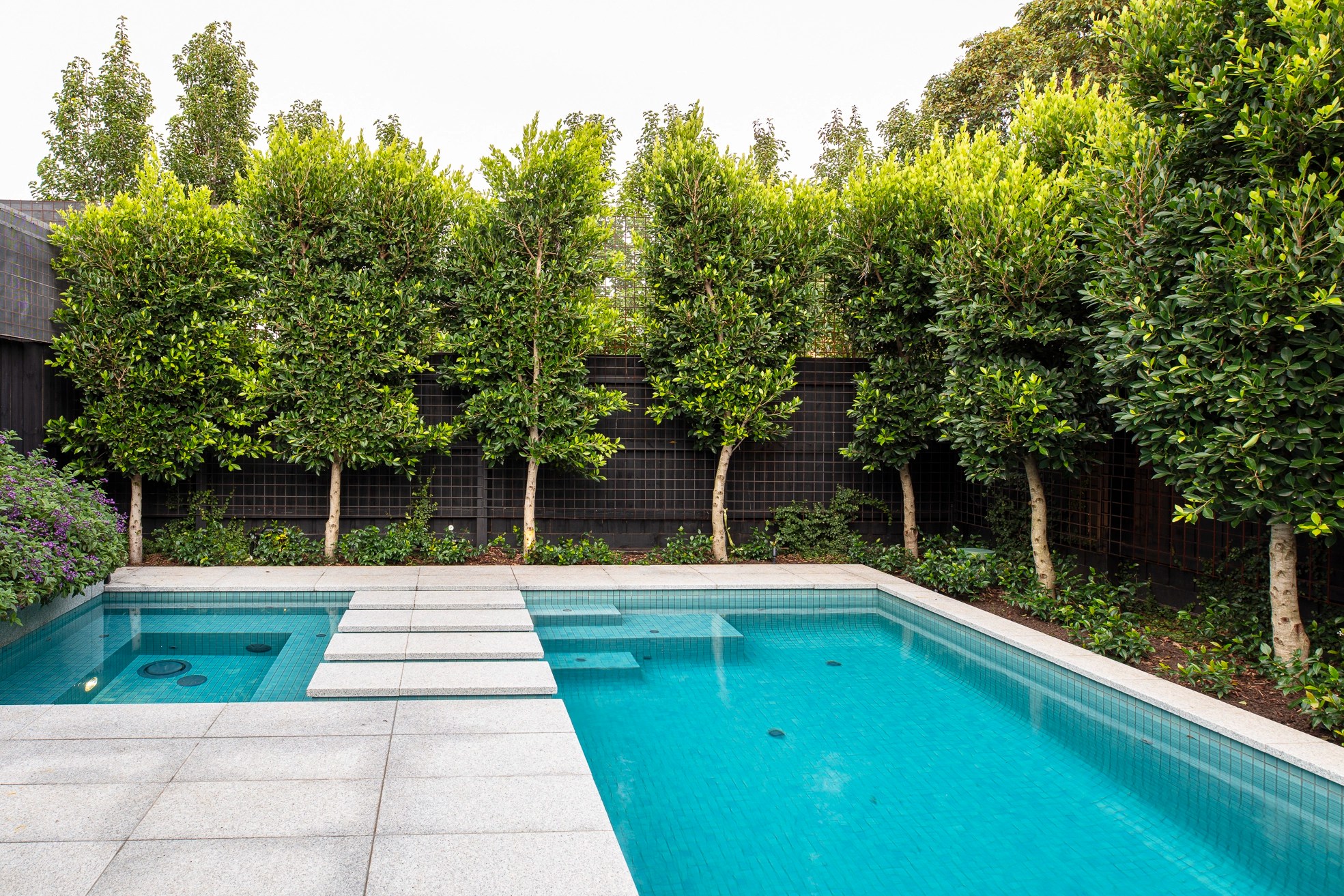 Invasive roots and what they mean for your garden Ian Barker Gardens