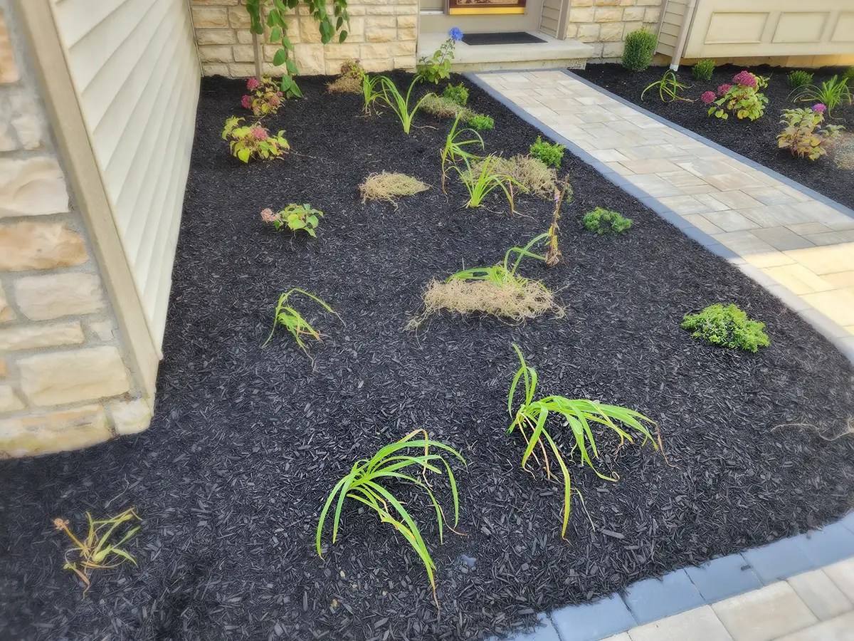 Unlocking the Benefits of Mulching A Guide a Healthier Backyards