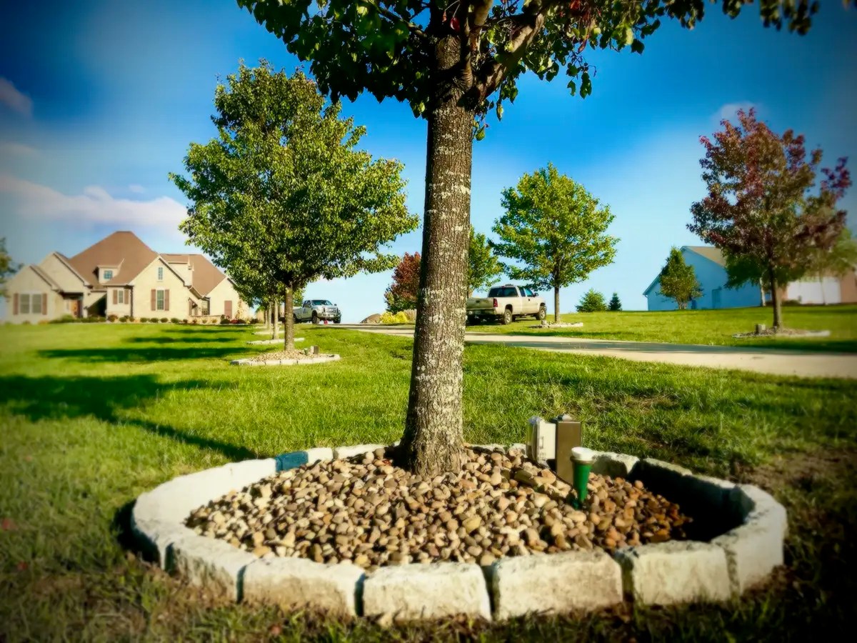 How much does it cost to plant a tree? LMG