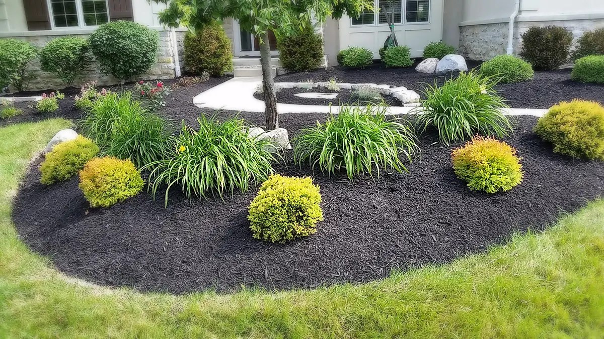 Unlocking the Benefits of Mulching A Guide a Healthier Backyards
