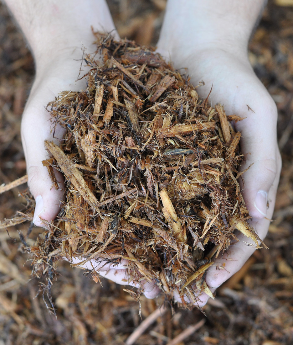 Is Cypress Mulch Bad For Chickens at Shanna Roberts blog