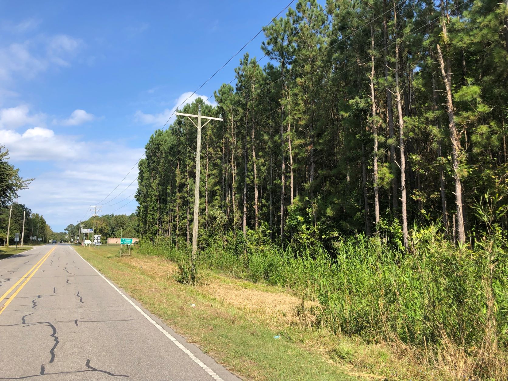 223.37 acre Commercial Property in Princeville, NC Lands of the