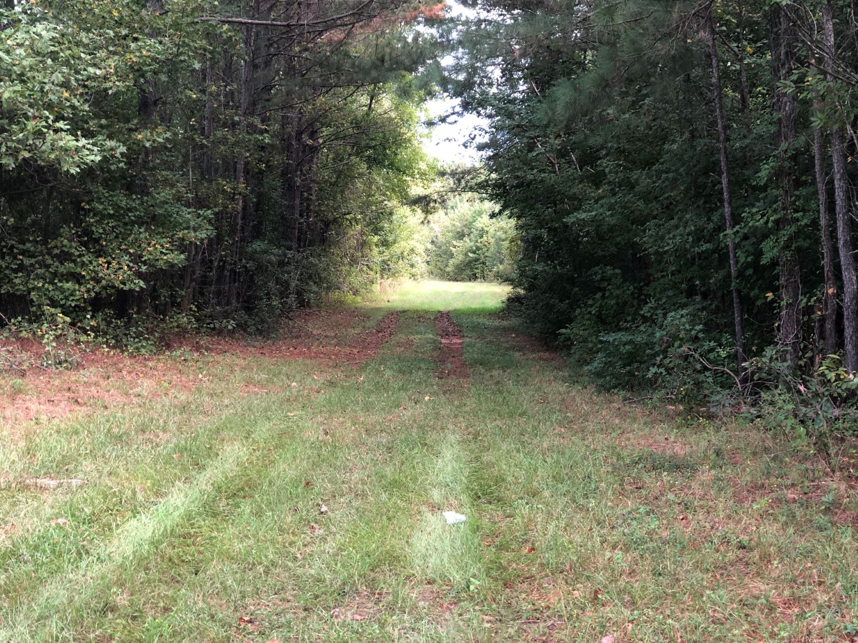 223.37 acre Commercial Property in Princeville, NC Lands of the
