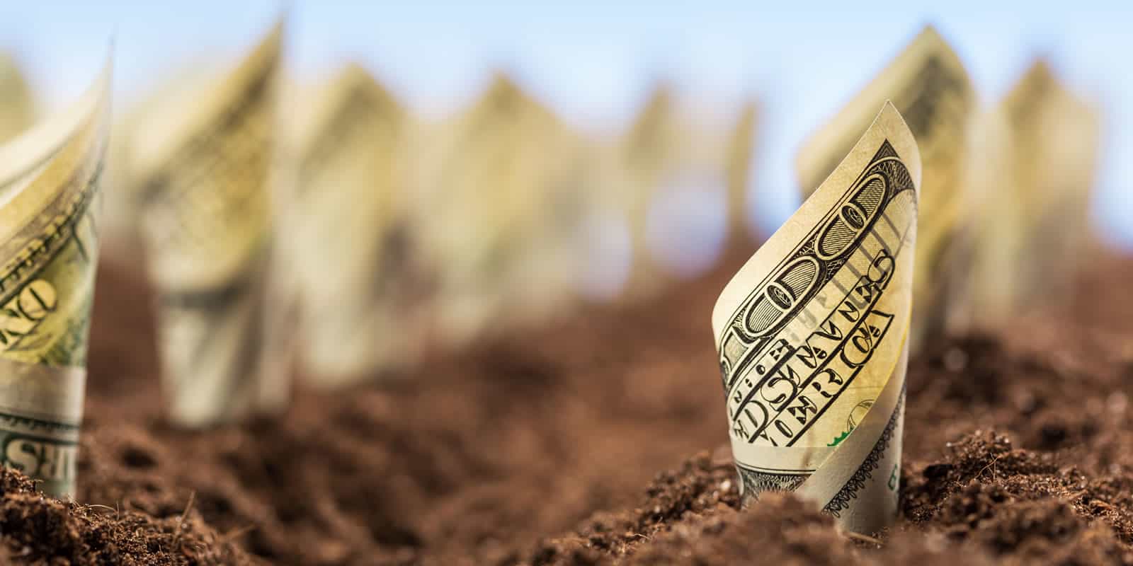 How Do You Value Bare Dirt in Timberland? LANDTHINK