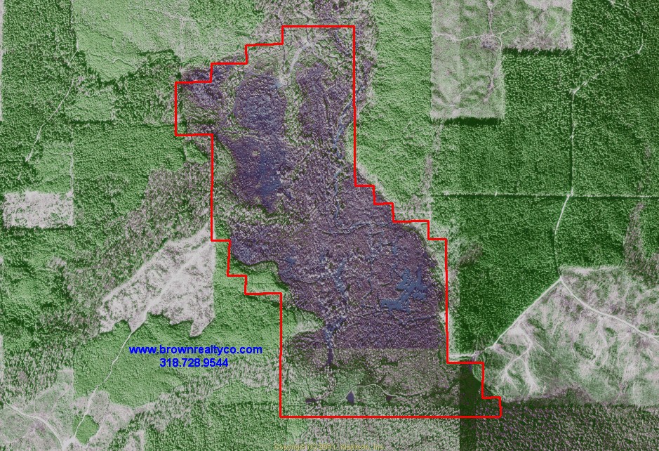 Montrose, Ashley County, AR Farms and Ranches, House for sale Property