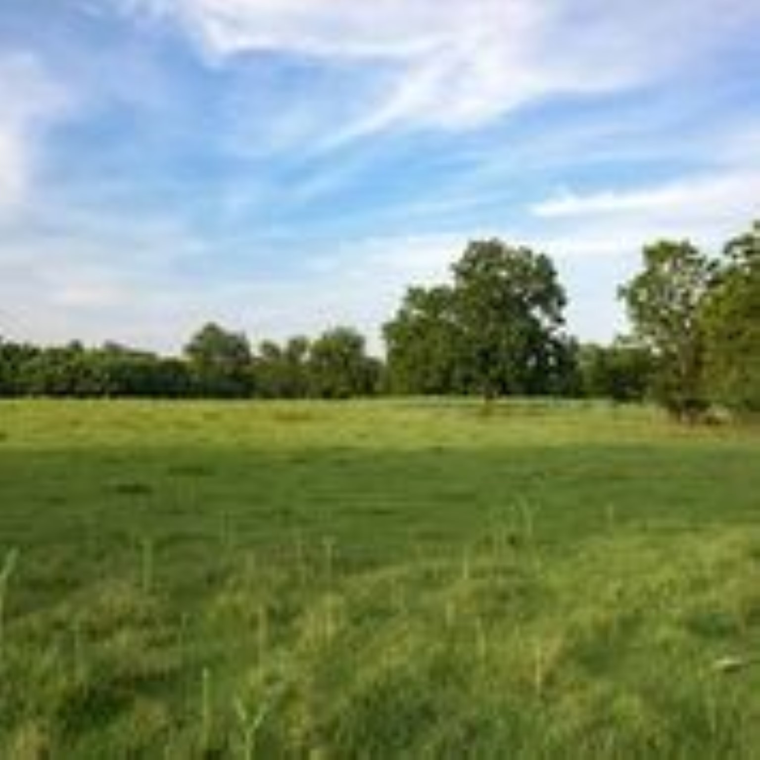 Danciger, Brazoria County, TX Farms and Ranches, Recreational Property