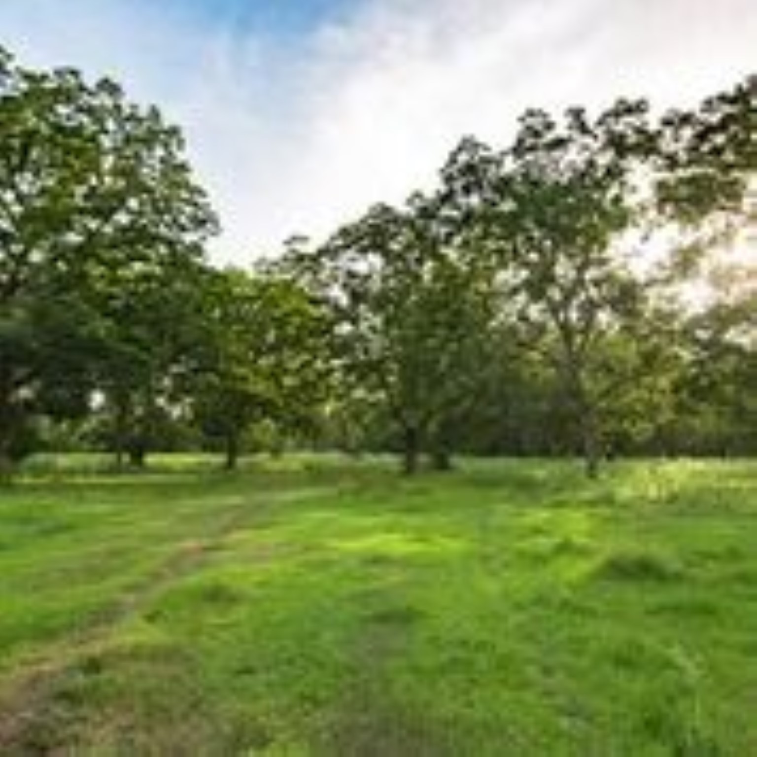 Danciger, Brazoria County, TX Farms and Ranches, Recreational Property