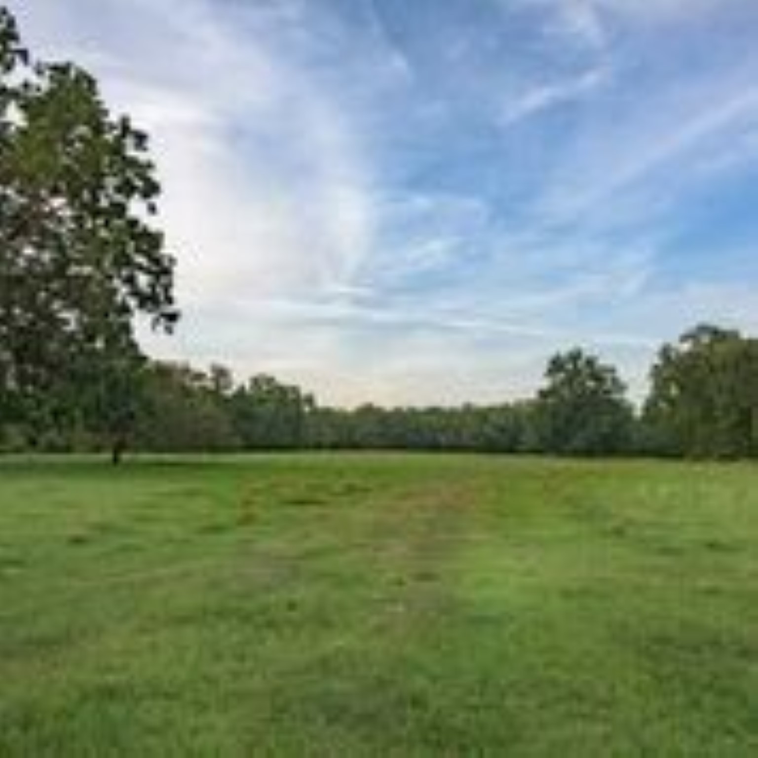 Danciger, Brazoria County, TX Farms and Ranches, Recreational Property