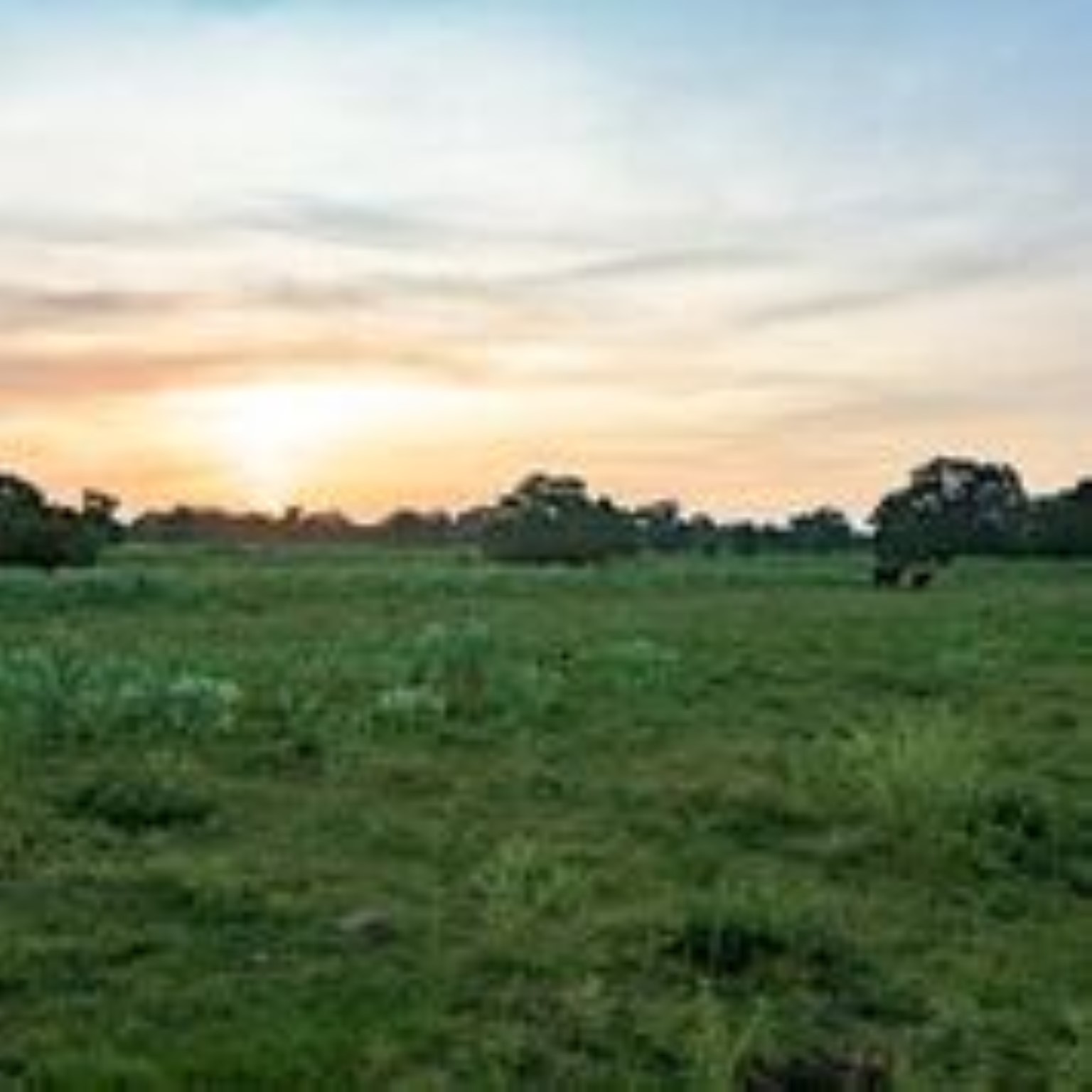 Danciger, Brazoria County, TX Farms and Ranches, Recreational Property