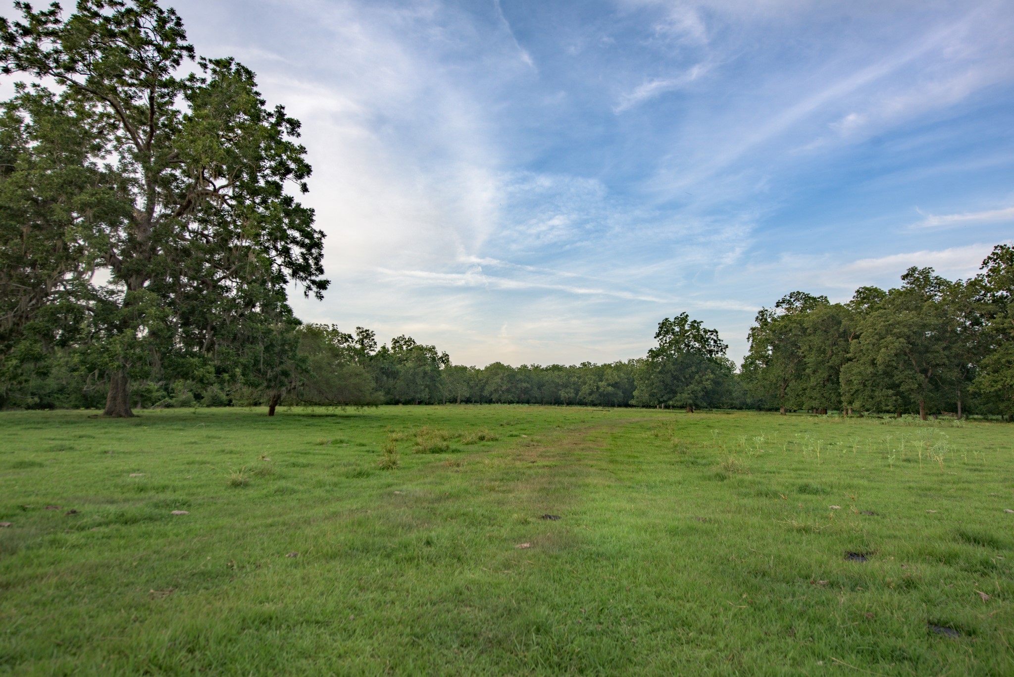 Danciger, Brazoria County, TX Farms and Ranches, Recreational Property