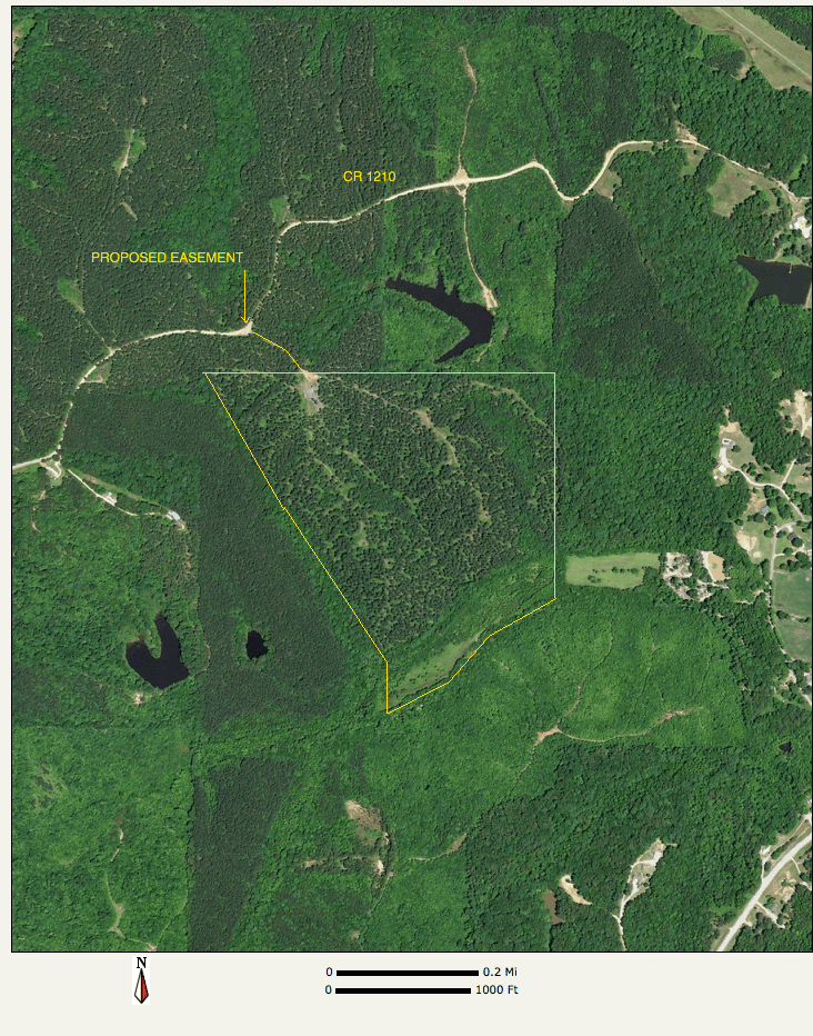 Booneville, Prentiss County, MS Timberland Property, Hunting Property