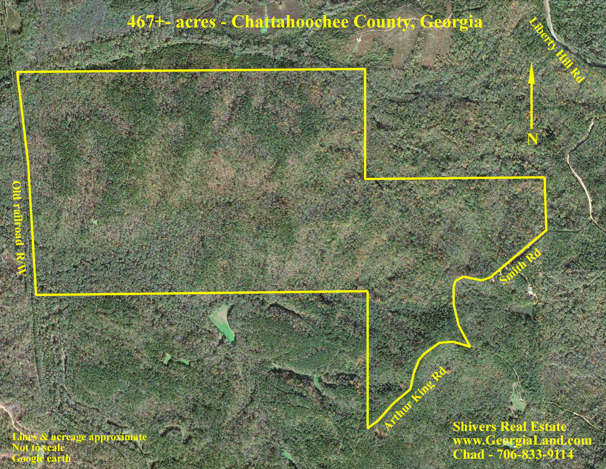 Cusseta, Chattahoochee County, GA Recreational Property, Timberland