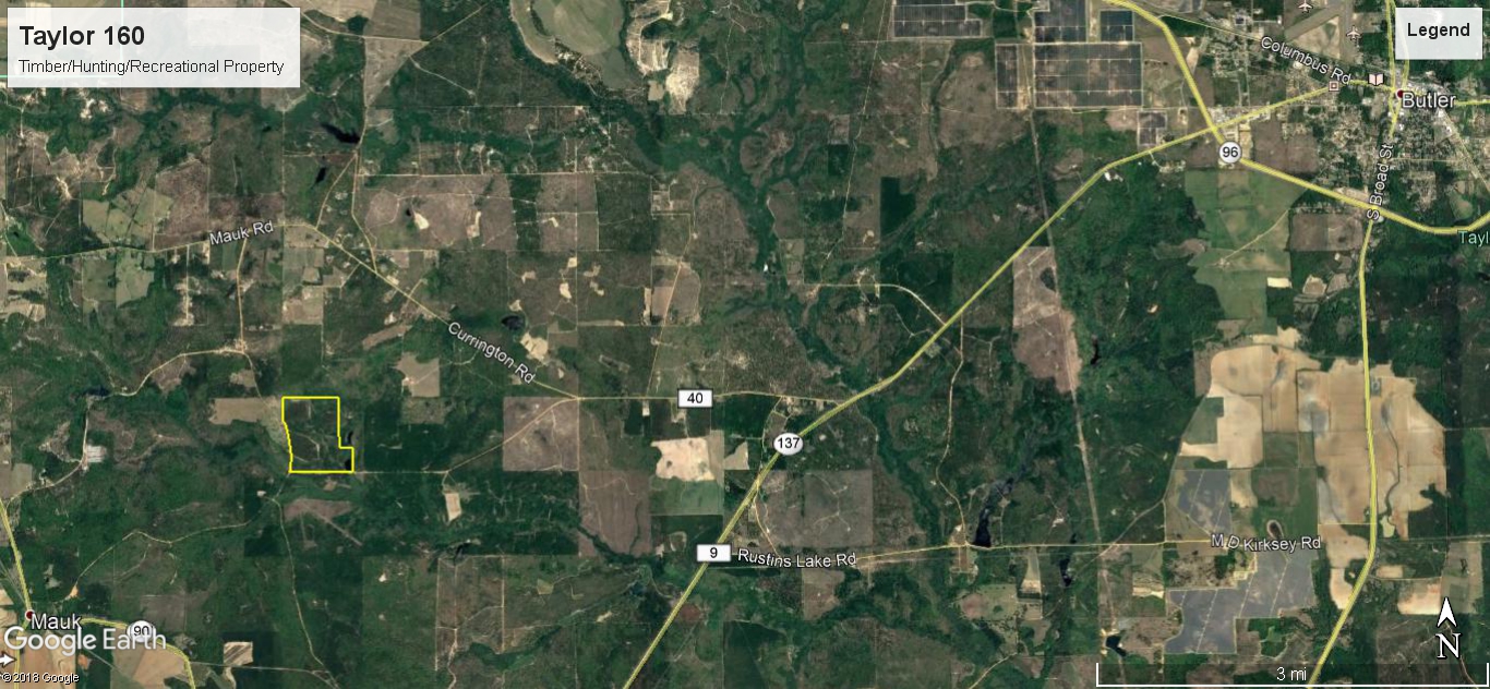 Mauk, Taylor County, GA Recreational Property, Timberland Property