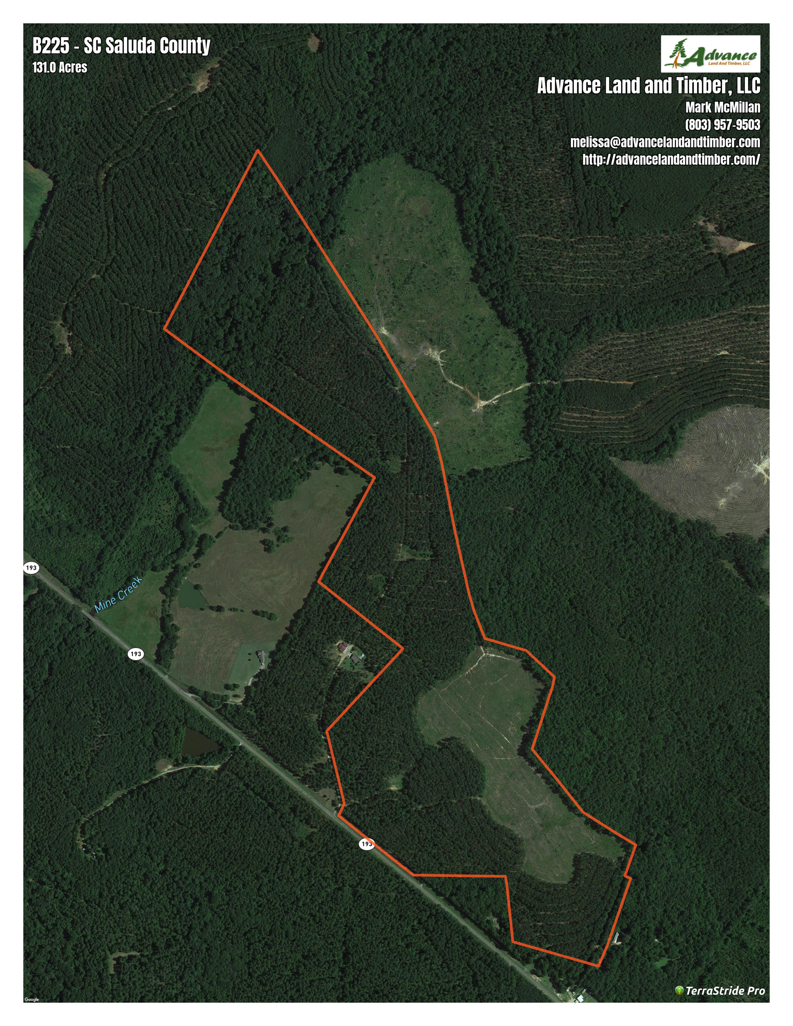 Ward, Saluda County, SC Recreational Property, Timberland Property