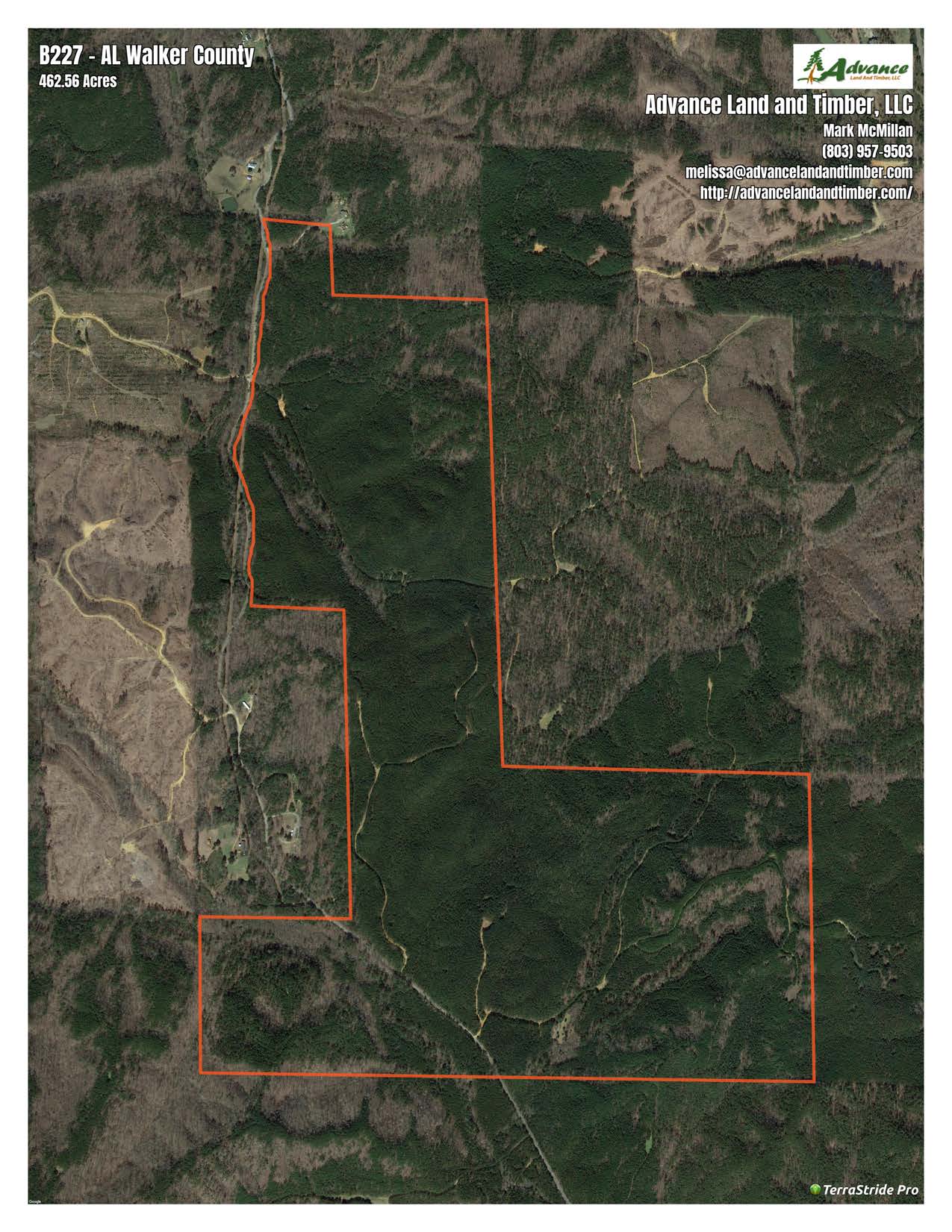 Townley, Walker County, AL Recreational Property, Timberland Property