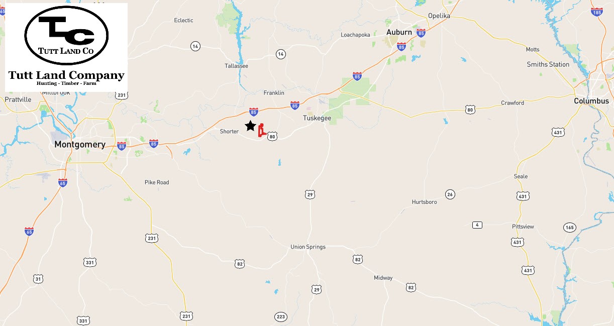 Shorter, Macon County, AL Recreational Property, Timberland Property