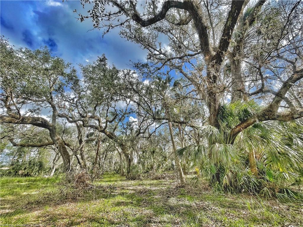 Wauchula, Hardee County, FL Recreational Property, Hunting Property