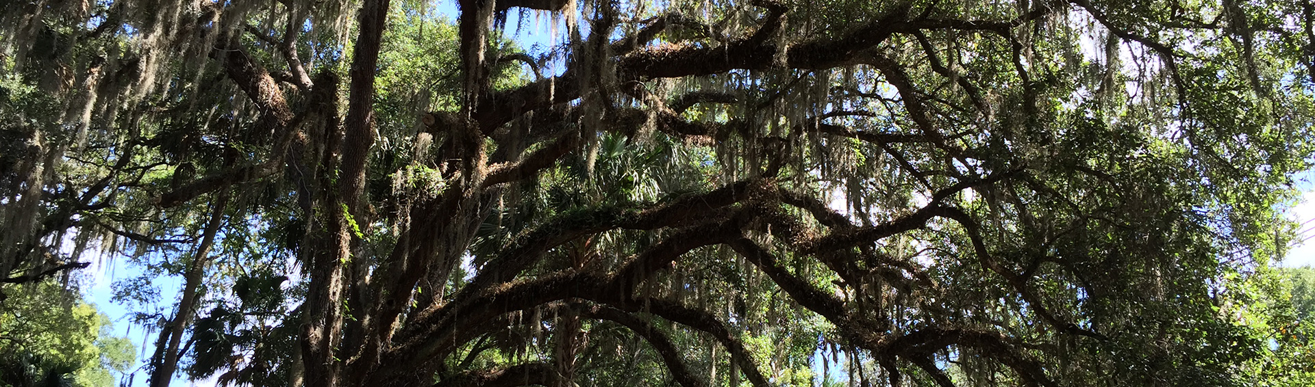 Real Estate Agents DeLand, Deleon Springs, New Smyrna