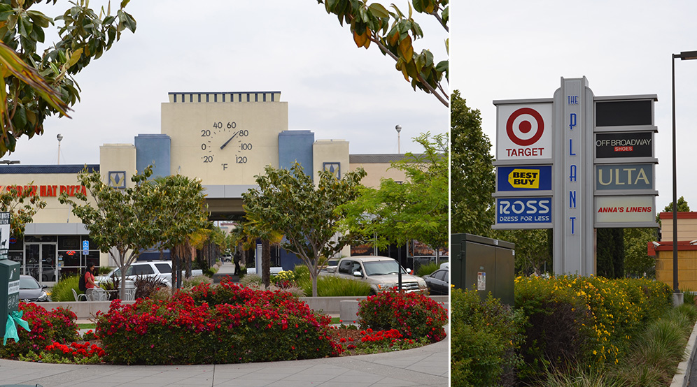 The Plant San Jose Plant Ideas