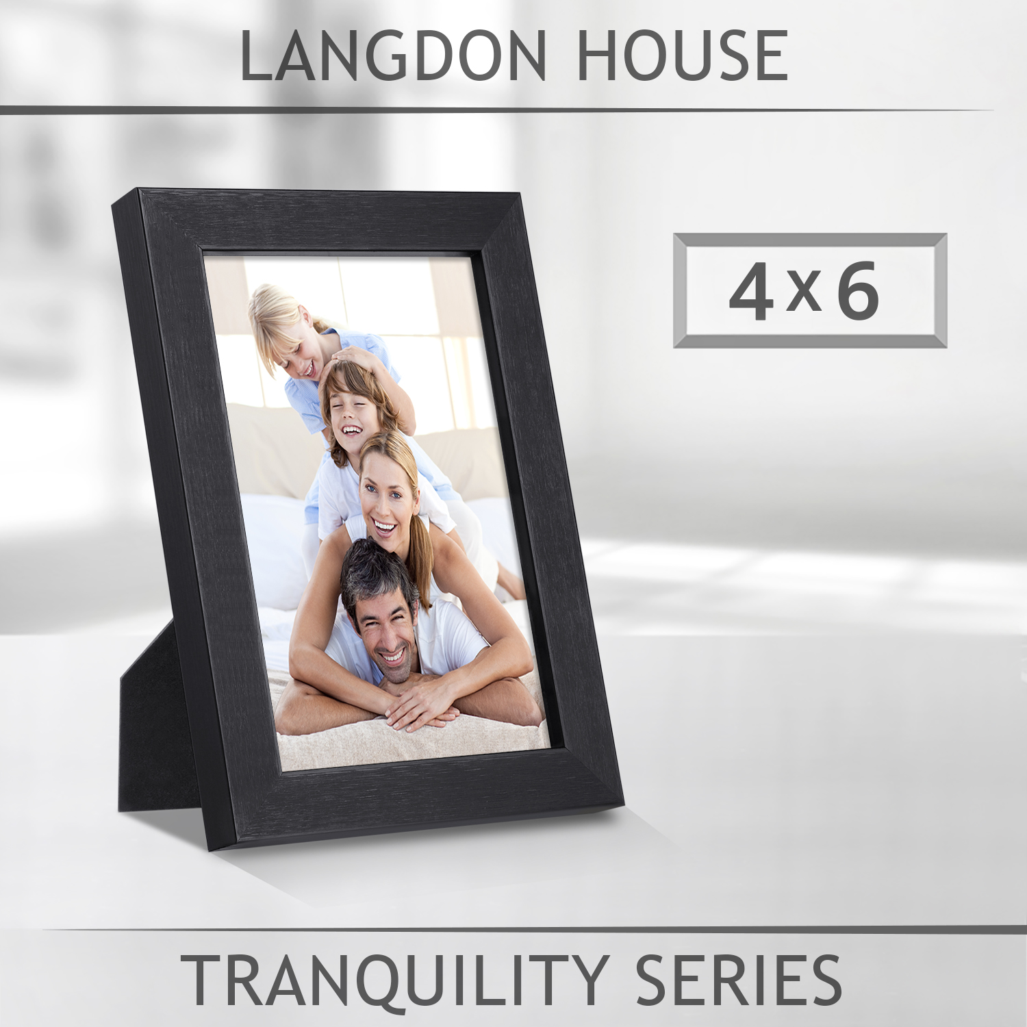 Langdon House Picture Frame, Sleek & Classic, Fabulous Frames, Swivel