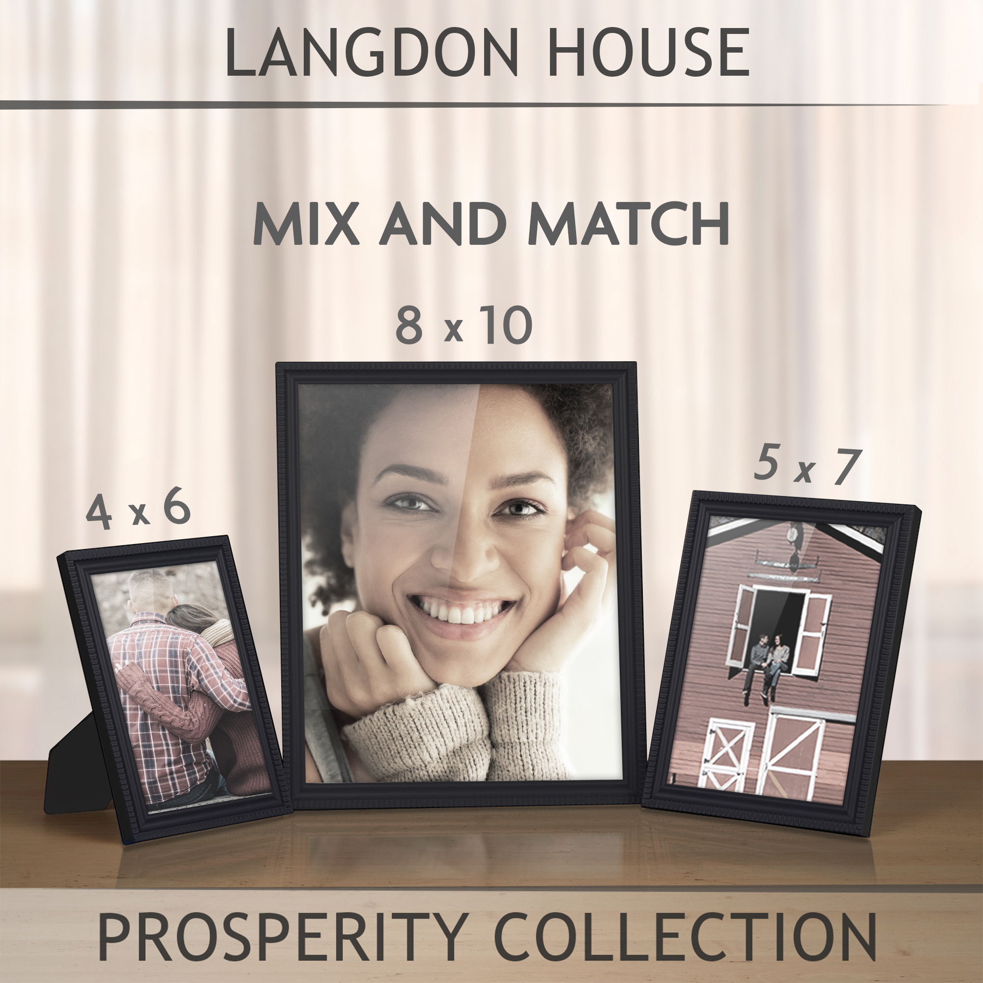 Langdon House Picture Frames, Contemporary Frame Set, Wall Mount or