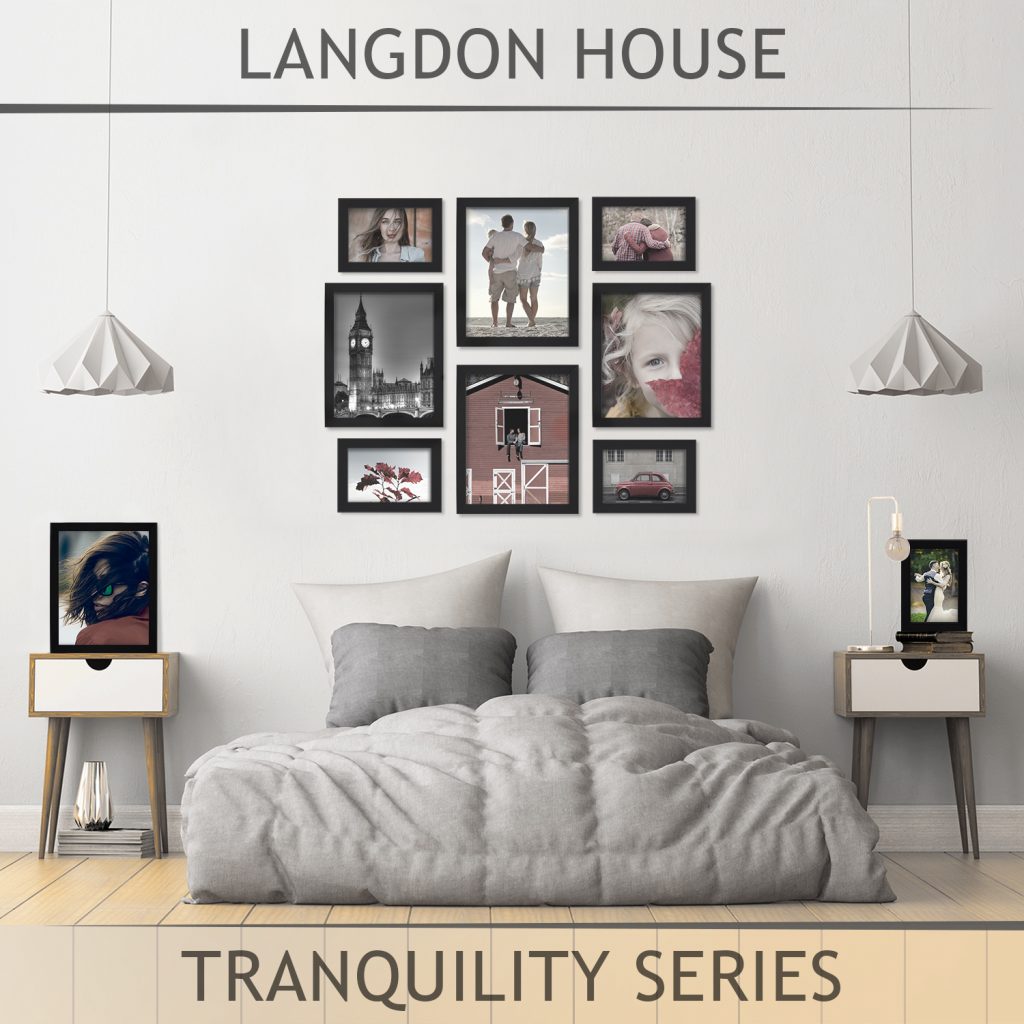 Langdon House Picture Frame, Sleek & Classic, Fabulous Frames, Swivel
