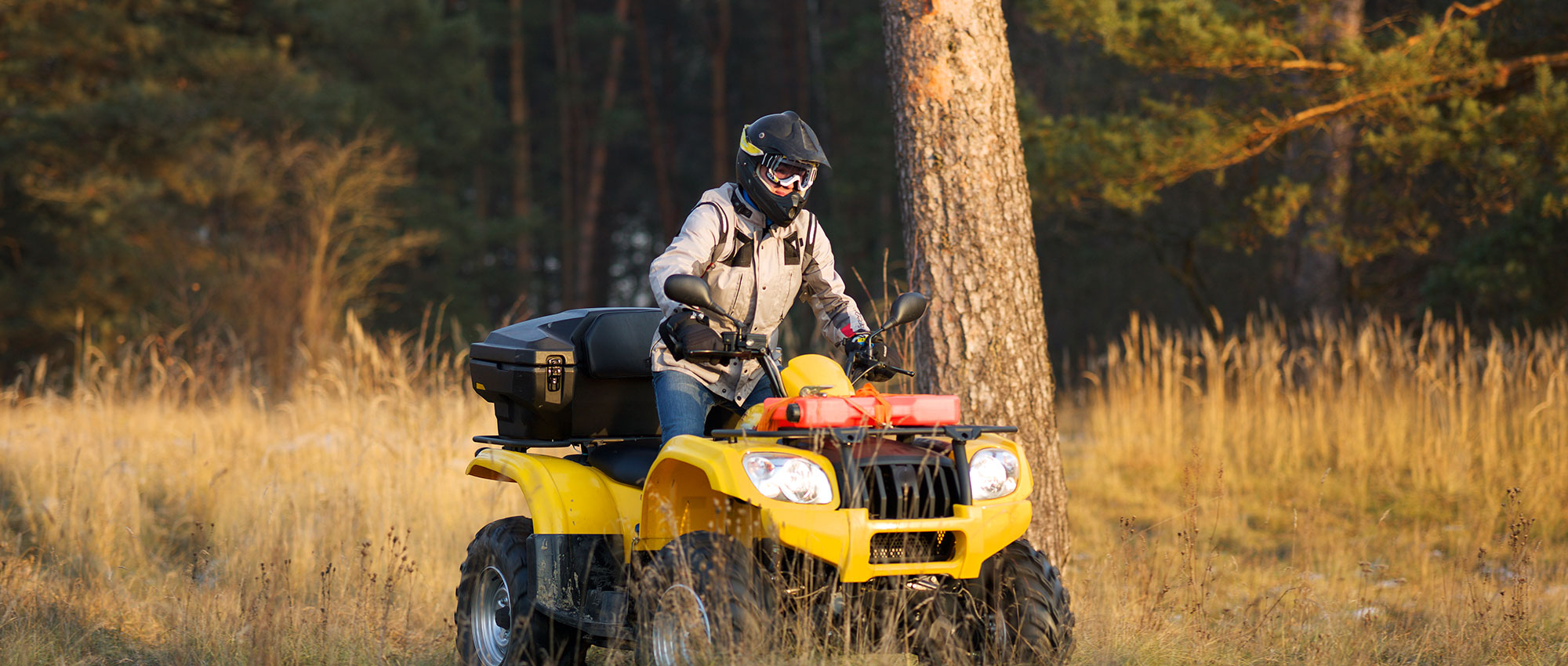 Langlade County Wisconsin Tourism Discover the Beauty of Langlade County