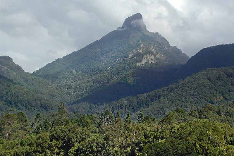 mount warning Langports