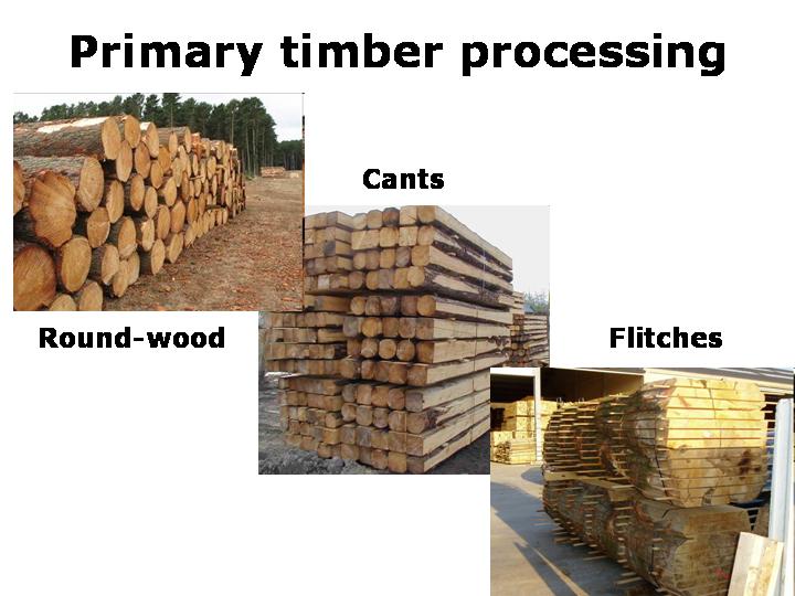 Concerns over Timber Processing in the Russian Far East Languages Of
