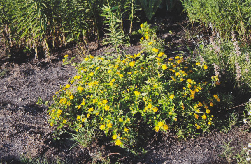 gallery Lanham United Methodist Church
