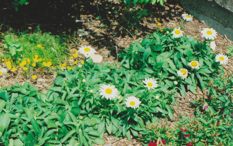 gallery Lanham United Methodist Church
