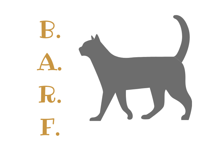 Wichtige Informationen zum Thema "Katze barfen"