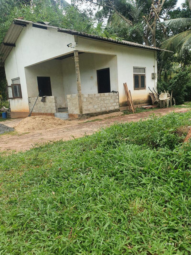 Coconut land for Sale in Nattandiya 08 Acres Developed Coconut Estate