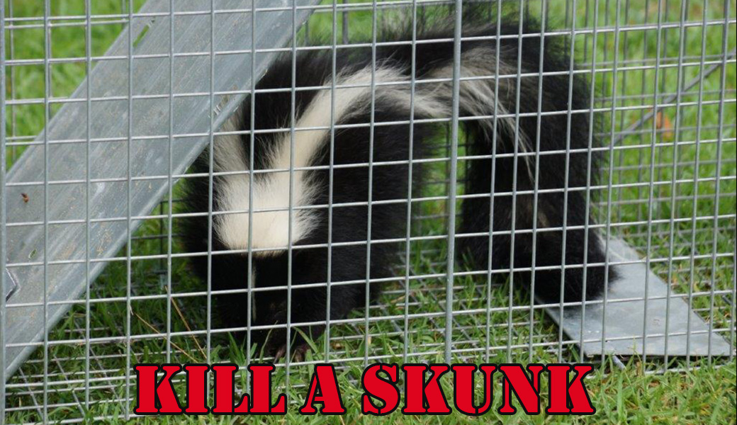 How to kill a skunk