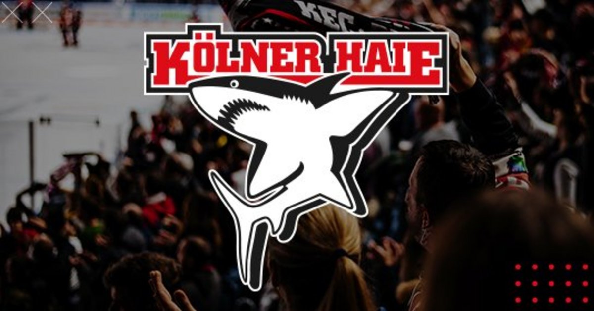 Kölner Haie SC Bietigheim Steelers 22.01.2023 um 1900 Uhr