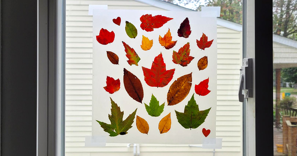 Autumn Leaf Suncatcher