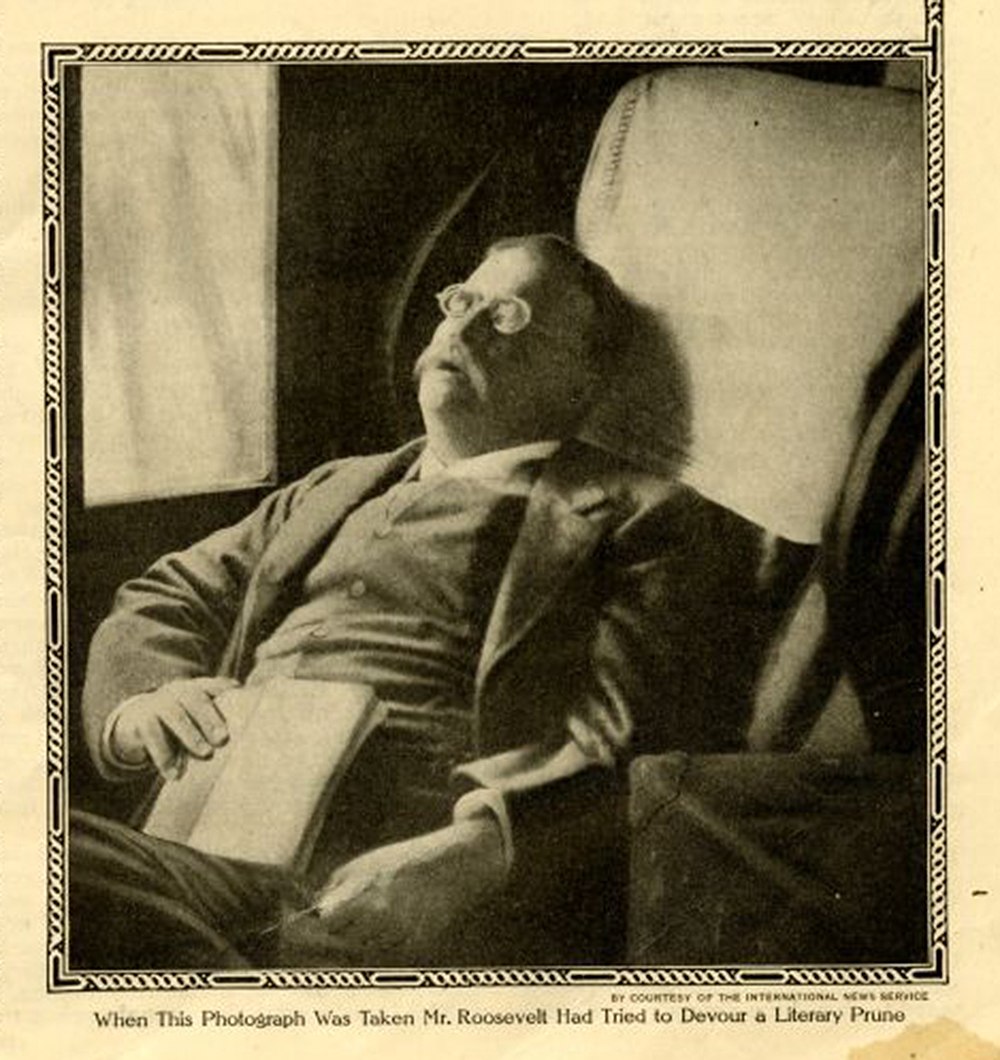 Teddy Roosevelt Old