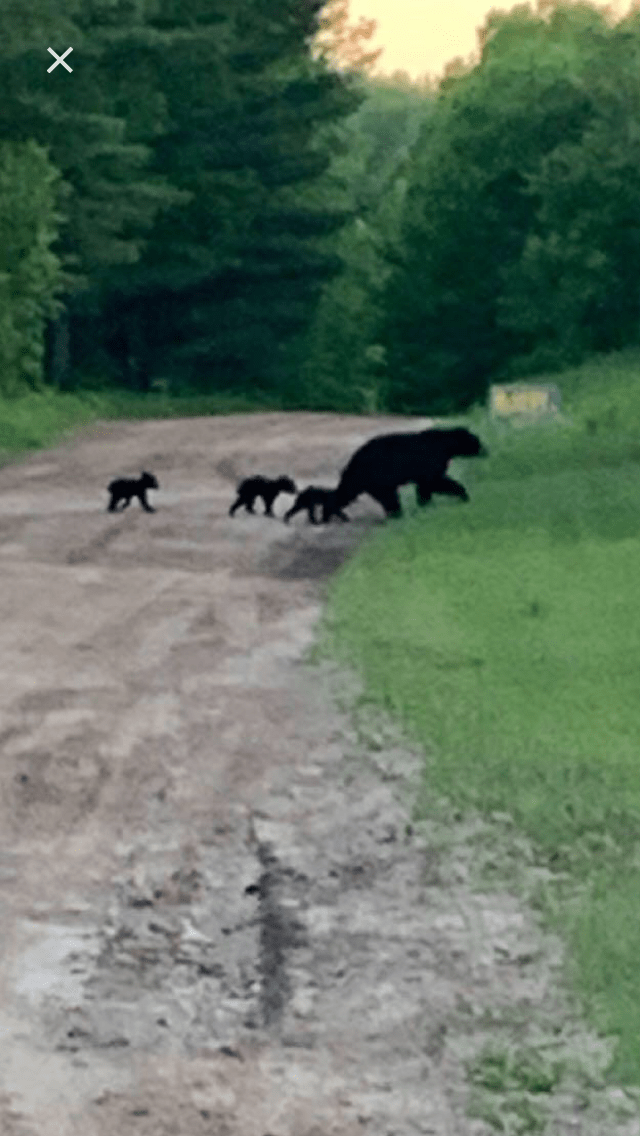 LAPOA Info Lake Arrowhead Property Owners Association