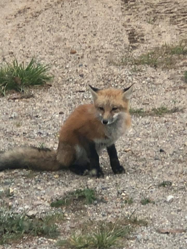 LAPOA Info Lake Arrowhead Property Owners Association