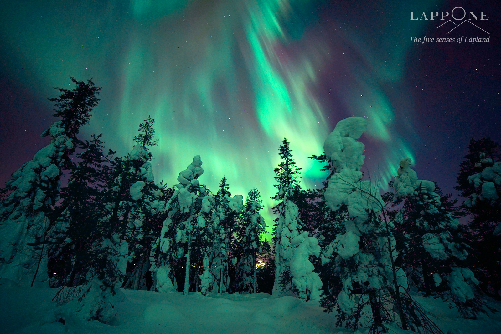 Avvento di charme viaggio in Lapponia a dicembre LappOne