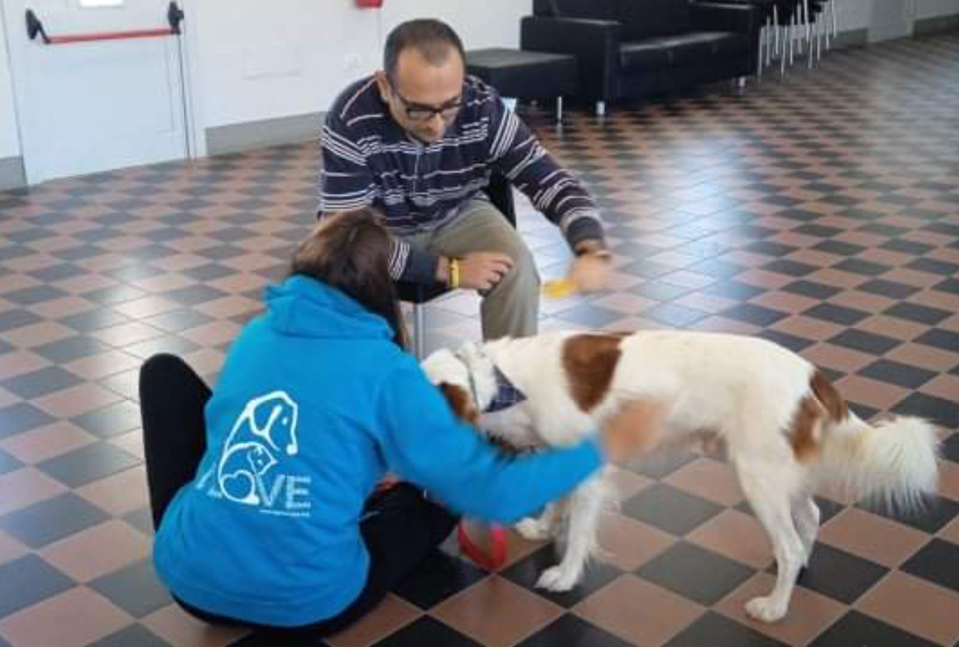 Approccio Comportamentale Negli Iaa Con Il Cane Strategie.